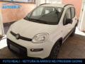 usato FIAT Panda