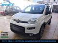 usato FIAT Panda
