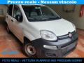 usato FIAT Panda