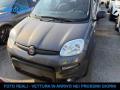 usato FIAT Panda