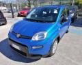 usato FIAT Panda