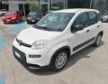 usato FIAT Panda