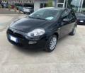 usato FIAT Punto