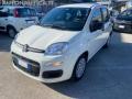 usato FIAT Panda