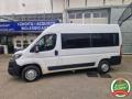 usato FIAT Ducato