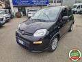 usato FIAT Panda