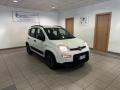 usato FIAT Panda