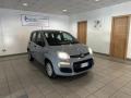 usato FIAT Panda