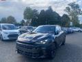 usato CUPRA Terramar