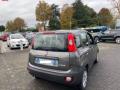 usato FIAT Panda