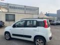 usato FIAT Panda