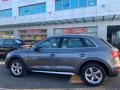 usato AUDI Q5