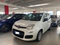 usato FIAT Panda