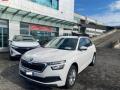 usato SKODA Kamiq