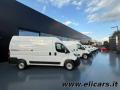 usato FIAT Ducato