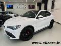 usato ALFA ROMEO Stelvio