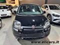 usato FIAT Panda