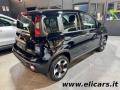 usato FIAT Panda