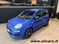 usato FIAT Pandina