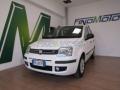 usato FIAT Panda
