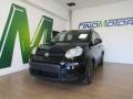 usato FIAT Panda