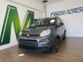 usato FIAT New Panda