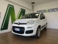 usato FIAT Panda