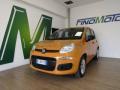 usato FIAT Panda