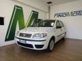 usato FIAT Punto