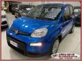 usato FIAT Panda
