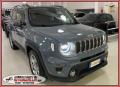 usato JEEP Renegade