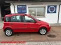 usato FIAT Panda