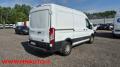 usato FORD Transit