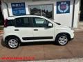 usato FIAT Panda