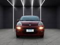 usato FIAT Panda