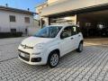 usato FIAT Panda