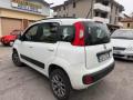 usato FIAT Panda