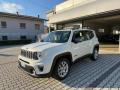 usato JEEP Renegade