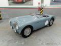 usato AUSTIN Healey