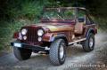 usato JEEP CJ 7