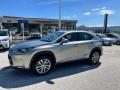 usato LEXUS NX 300