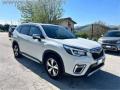 usato SUBARU Forester