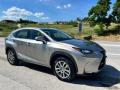 usato LEXUS NX 300