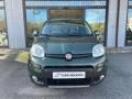 usato FIAT Panda