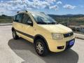 usato FIAT Panda