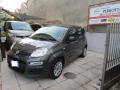 usato FIAT Panda