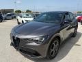usato ALFA ROMEO Stelvio