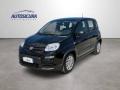 usato FIAT Panda
