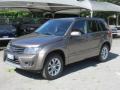 usato SUZUKI Grand Vitara