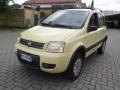 usato FIAT Panda